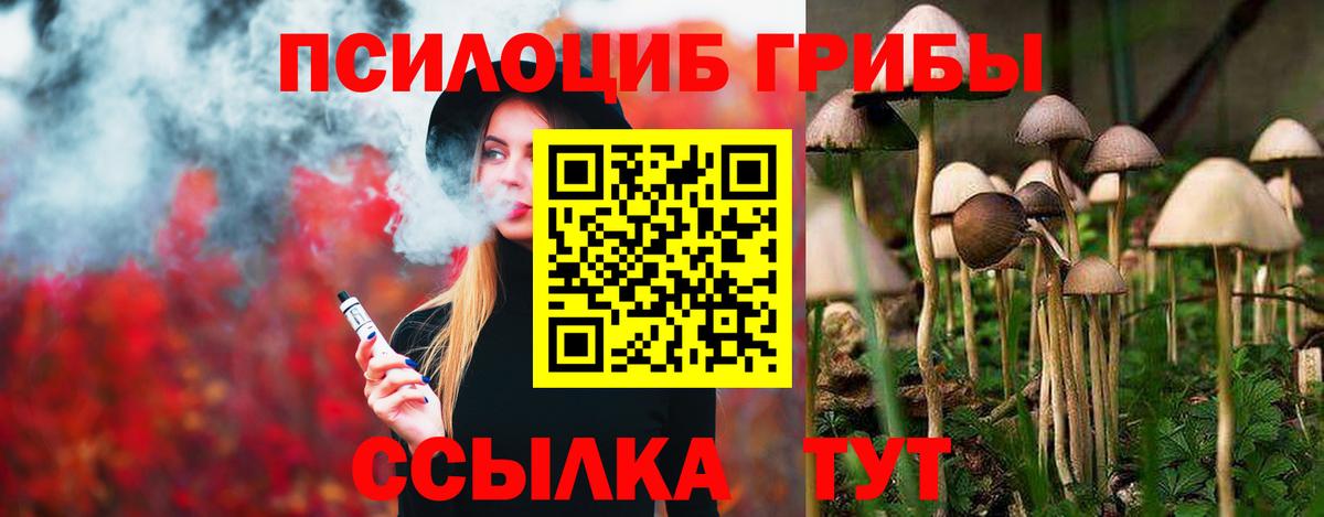 Ипатово  Галлюциногенные грибы MAGIC MUSHROOMS  Псилоцибиновые грибы Psilocybine cubensis  Вход с VPN 